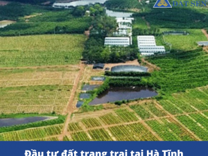 Đầu tư đất trang trại tại Hà Tĩnh