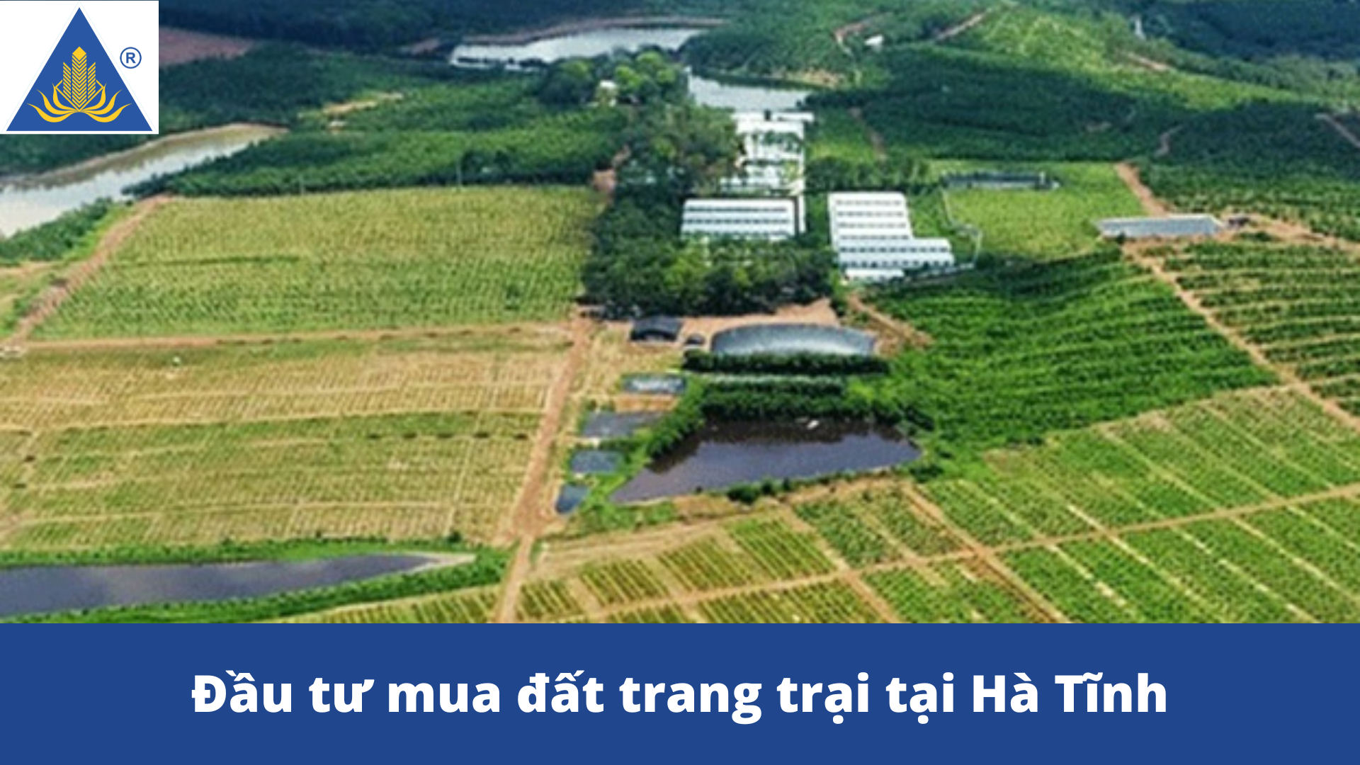Đầu tư mua đất trang trại tại Hà Tĩnh