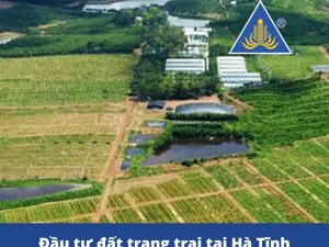 Mua bán đất trang trại tại Hà Tĩnh